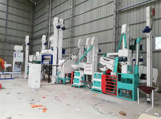 China quinoa processing line, quinoa saponin removing machine, quinoa peeling machine supplier